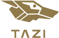 Tazi AI Systems